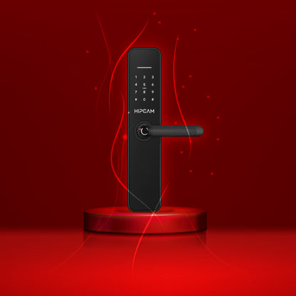 HOT SALE Smart Lock HL6