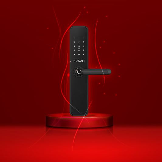 HOT SALE Smart Lock HL6