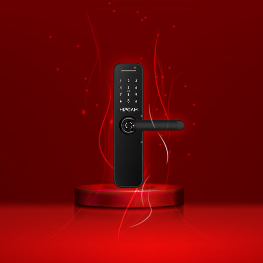 HOT SALE Smart Lock HL3